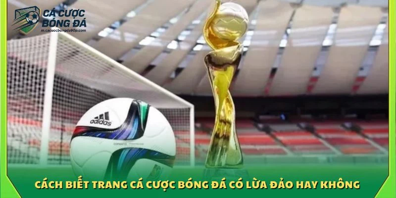 Cách biết trang cá cược bóng đá có lừa đảo hay không