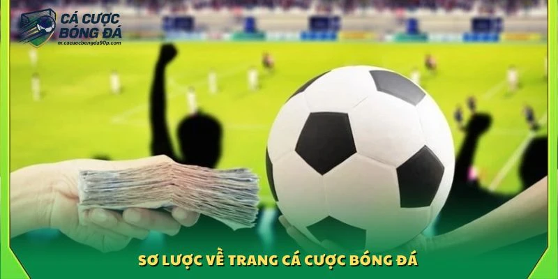Khám phá trang cá cược bóng đá